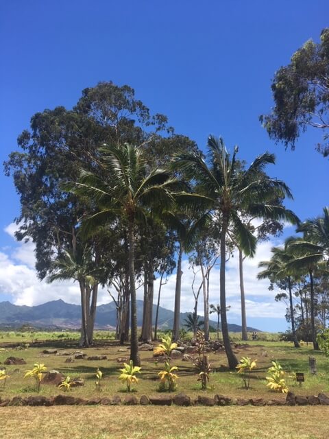 ハワイ ノースショアの神聖な場所 クカニロコ バースストーン で守ってほしいこと Hawaii Ne ハワイいいね